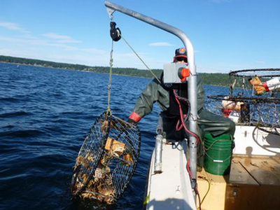 catching crab with the power hauler pot puller