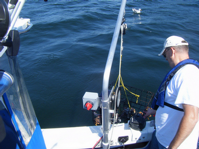 crab pot puller at surface