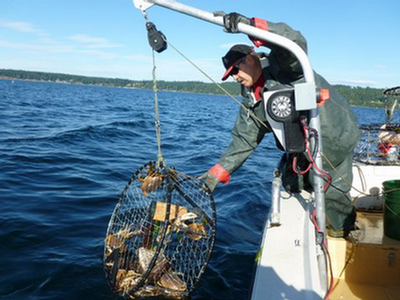 hauling in a crab pot with the 12 volt power hauler