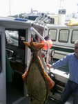 Lifting a Halibut