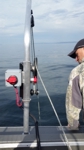 Through gunnel shrimp puller mount