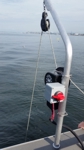 Through gunnel shrimp puller mount