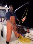 lobster fishing in Southern California