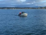 Shrimp fishing in the Strait of Juan de Fuca